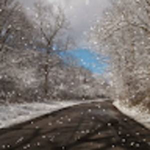 Meet your Posher, Tonya